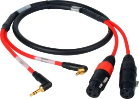 2-Channel Stereo 3.5mm Male to XLR Female Red Camera Audio Input Cable - 6-Foot