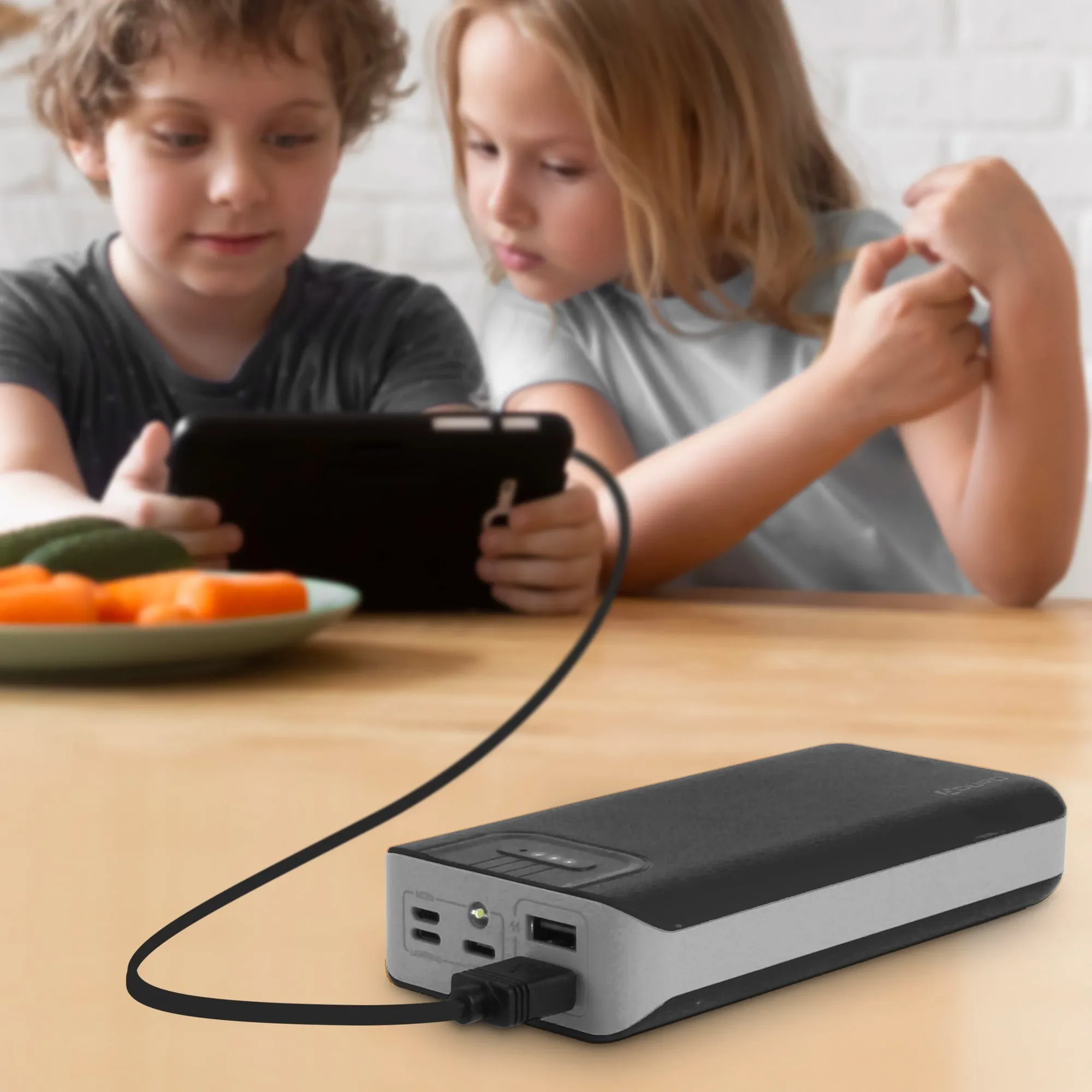 Aduro PowerUp Trio 20,000 mAh SmartCharge Dual USB Backup Battery