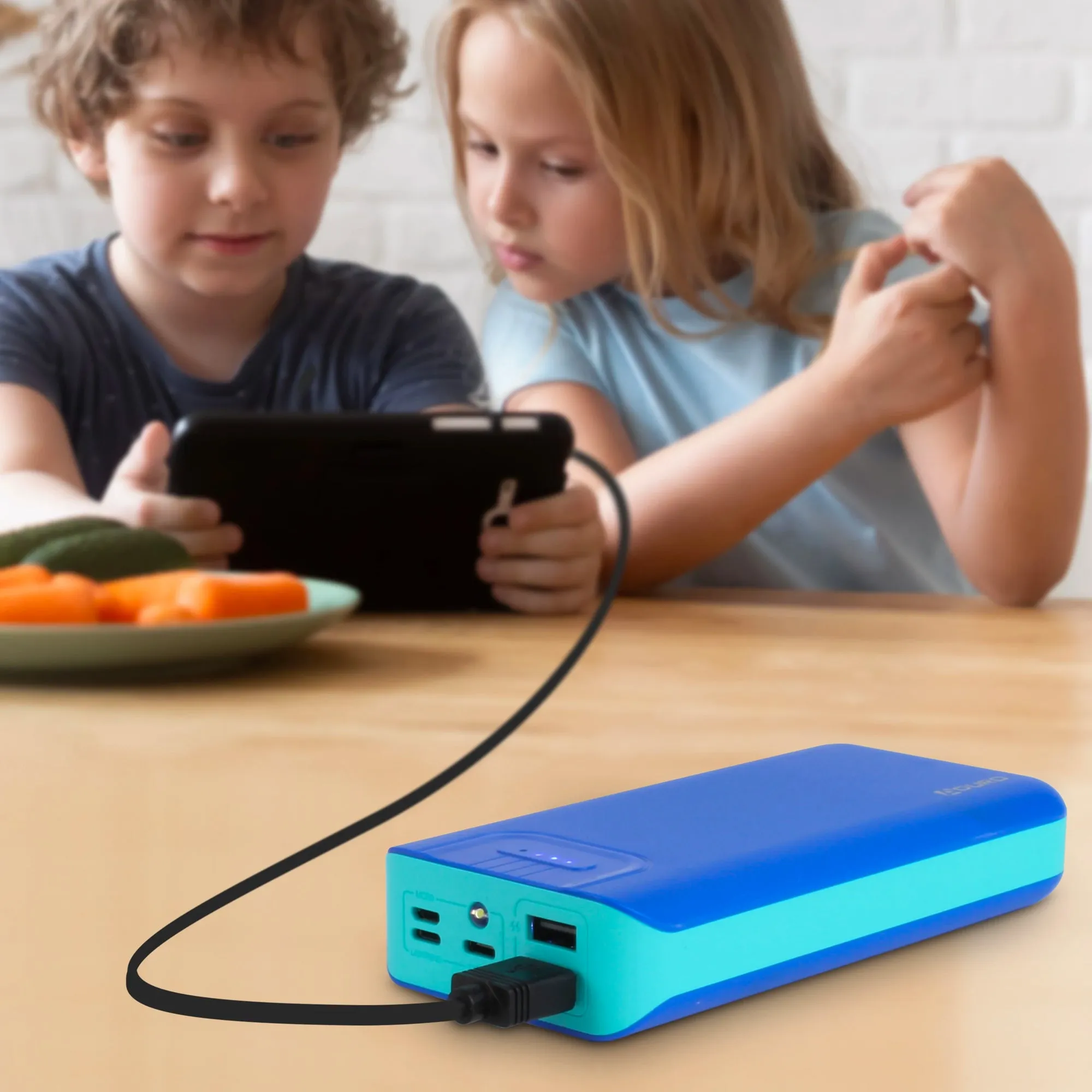 Aduro PowerUp Trio 20,000 mAh SmartCharge Dual USB Backup Battery