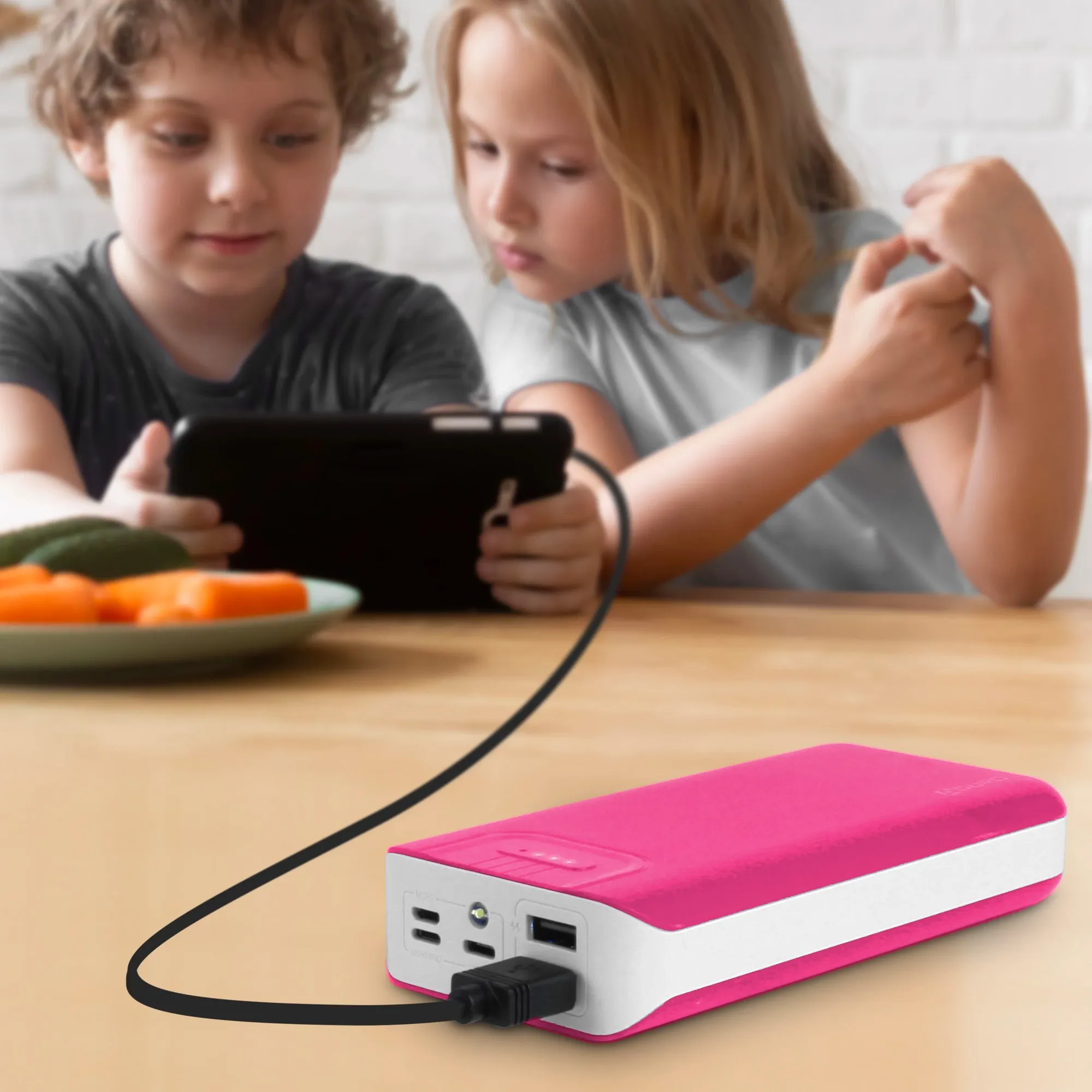 Aduro PowerUp Trio 20,000 mAh SmartCharge Dual USB Backup Battery