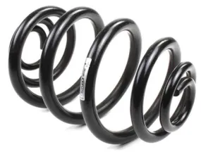 BMW Coil Spring – Rear (Heavy Duty) 33539066883