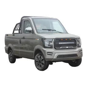 mini 2 seats electric pickup truck for sale