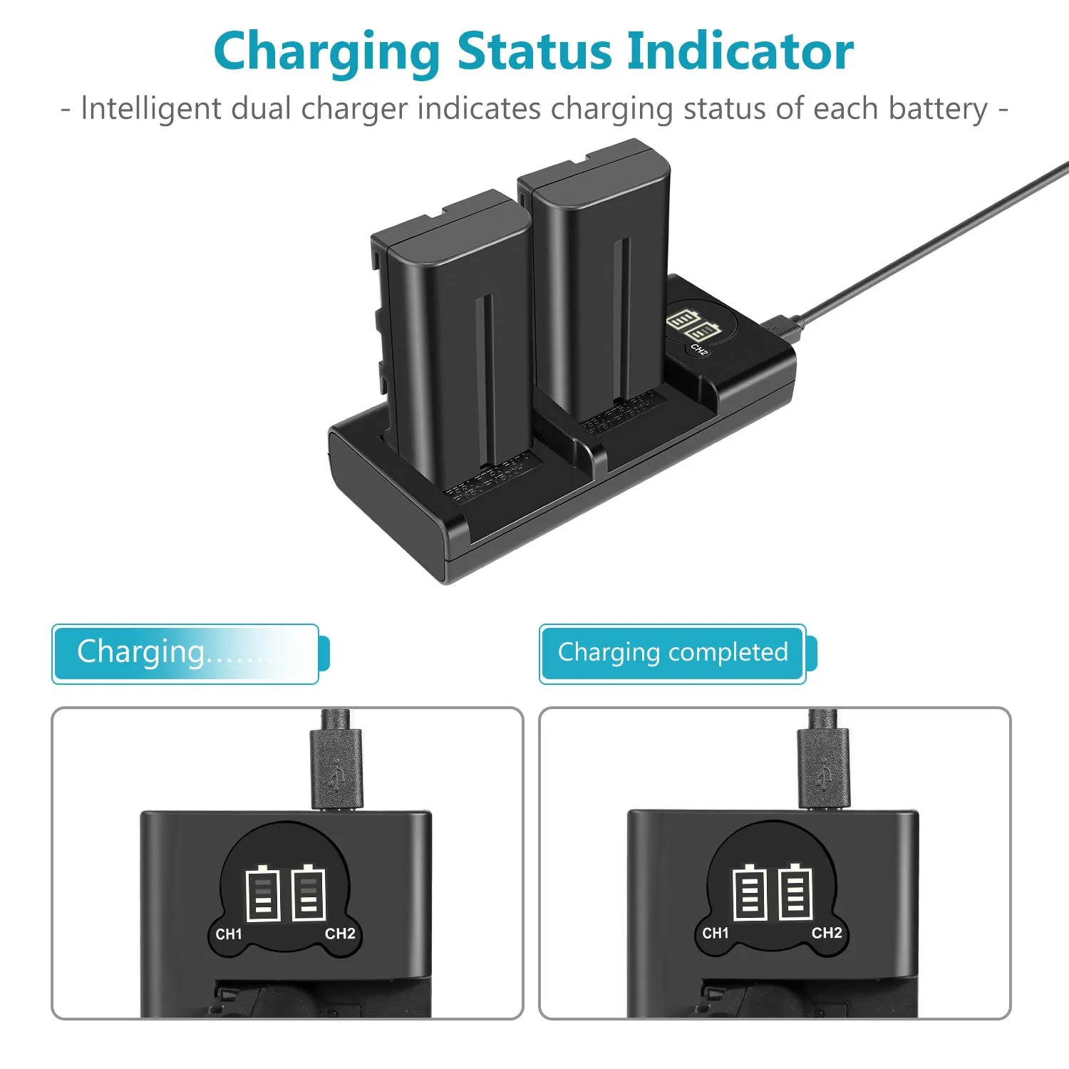 NEEWER NP-F550 Sony Battery Charger Set