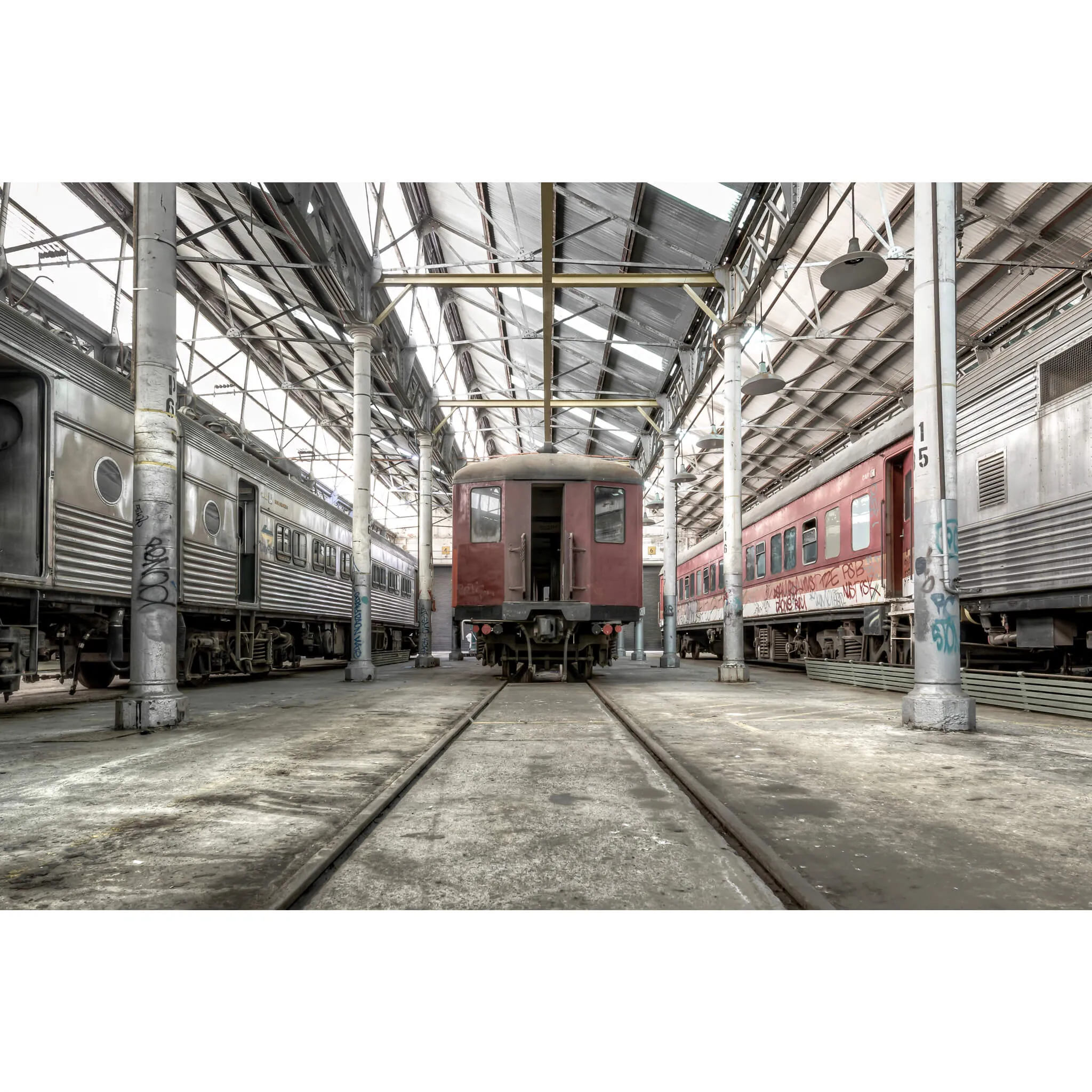 Red Rattler | Eveleigh Paint Shop