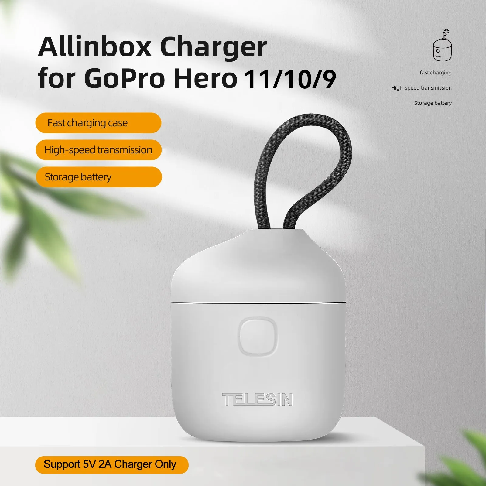 TELESIN AllinBox Portable Storage Charger for GoPro Battery 9-12