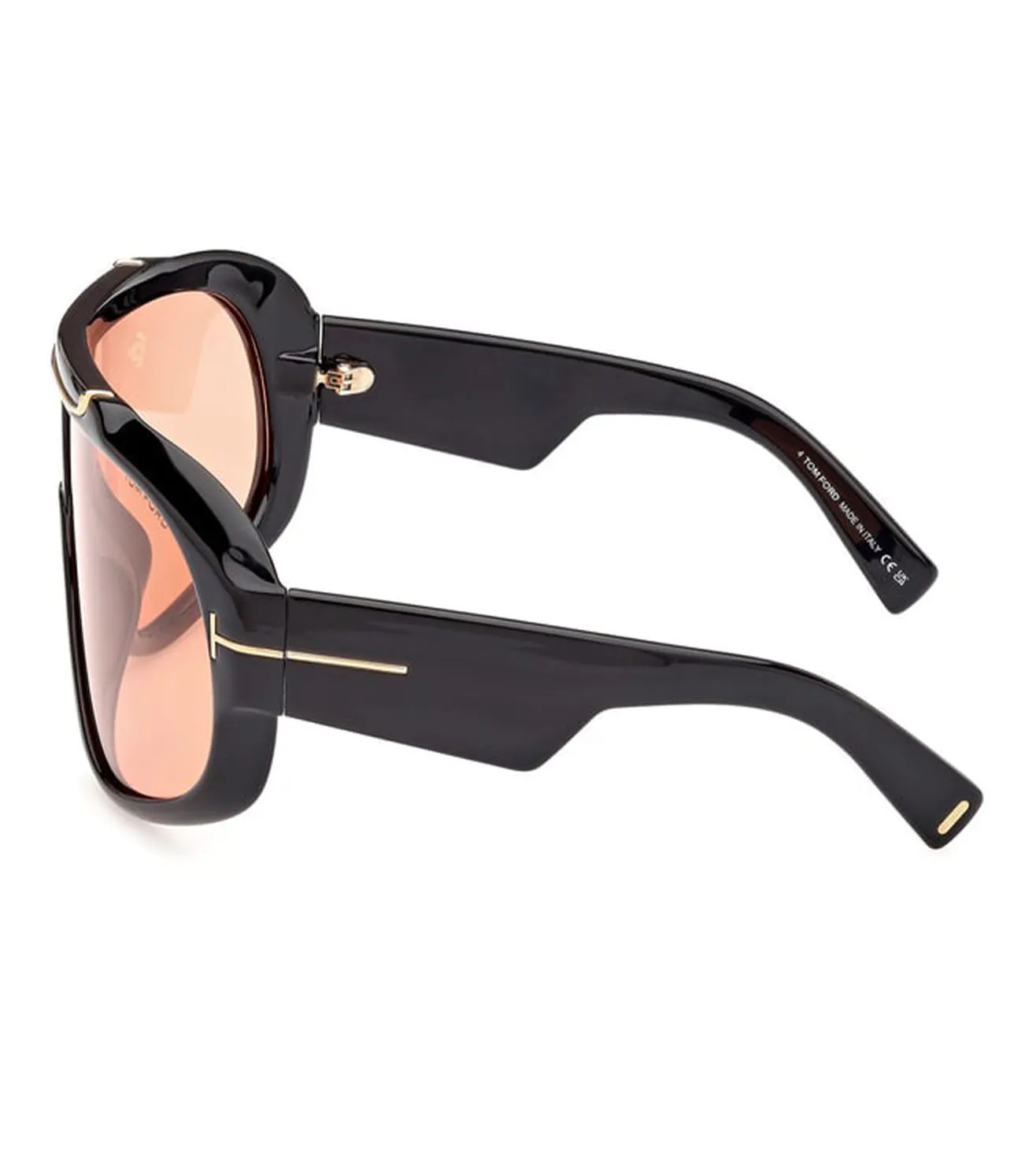 Tom Ford Unisex Light Brown Oversized Sunglasses